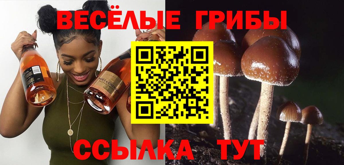 Ухта  Псилоцибиновые грибы ЛСД  Вход с VPN  Псилоцибиновые грибы мухоморы 