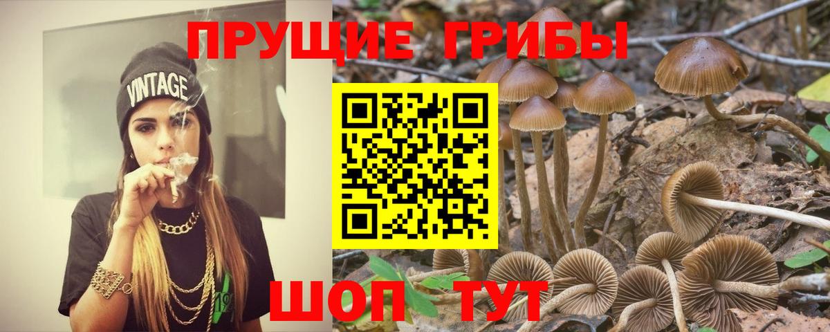 Галлюциногенные грибы прущие грибы Ухта